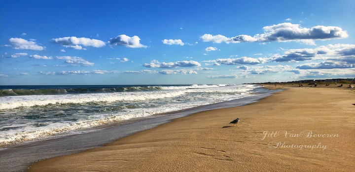 I Love the Beach