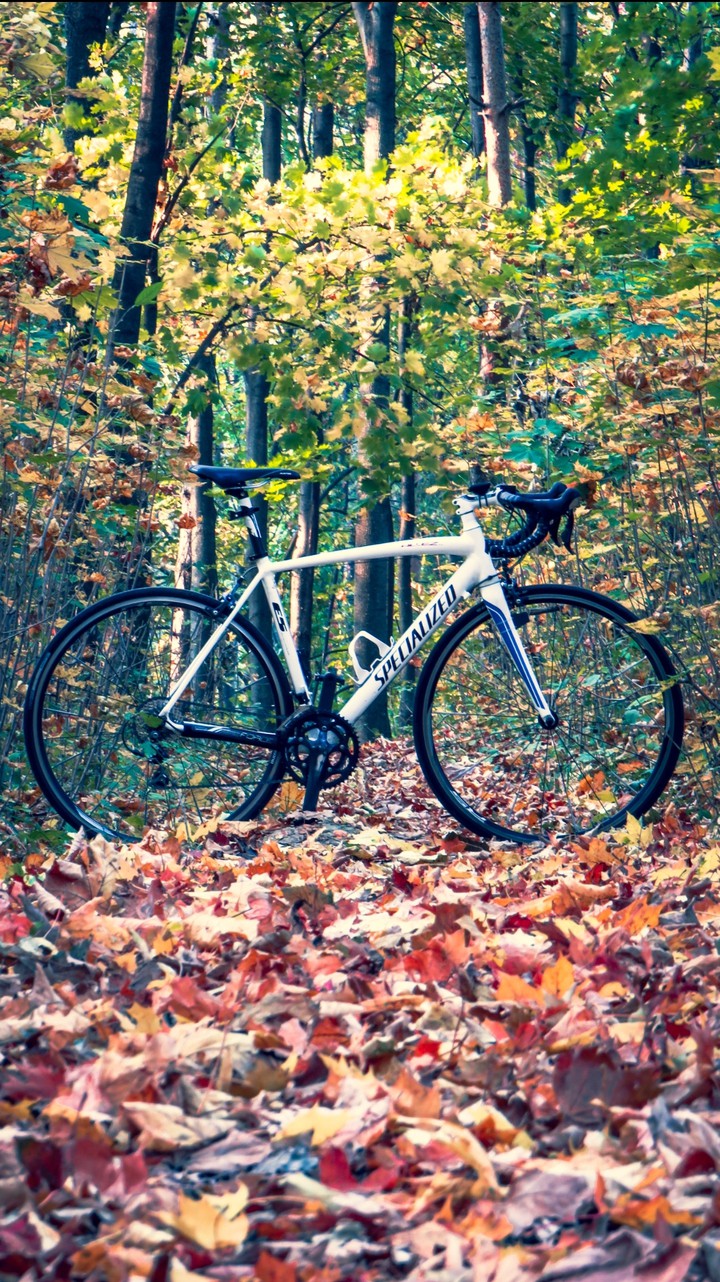 #autumn