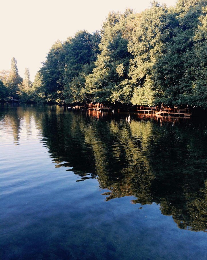 Nature