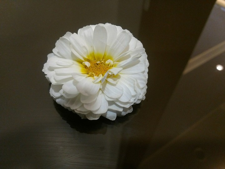 A day with a white flower