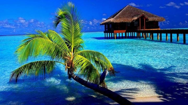 Nature Wallpaper