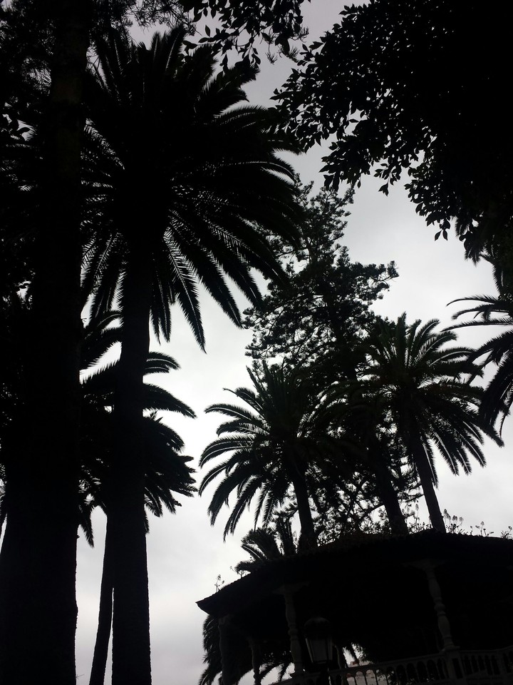 Tenerife