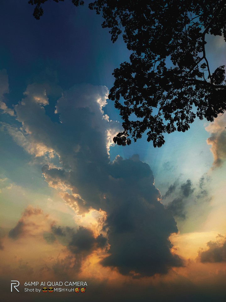 sun in the sky