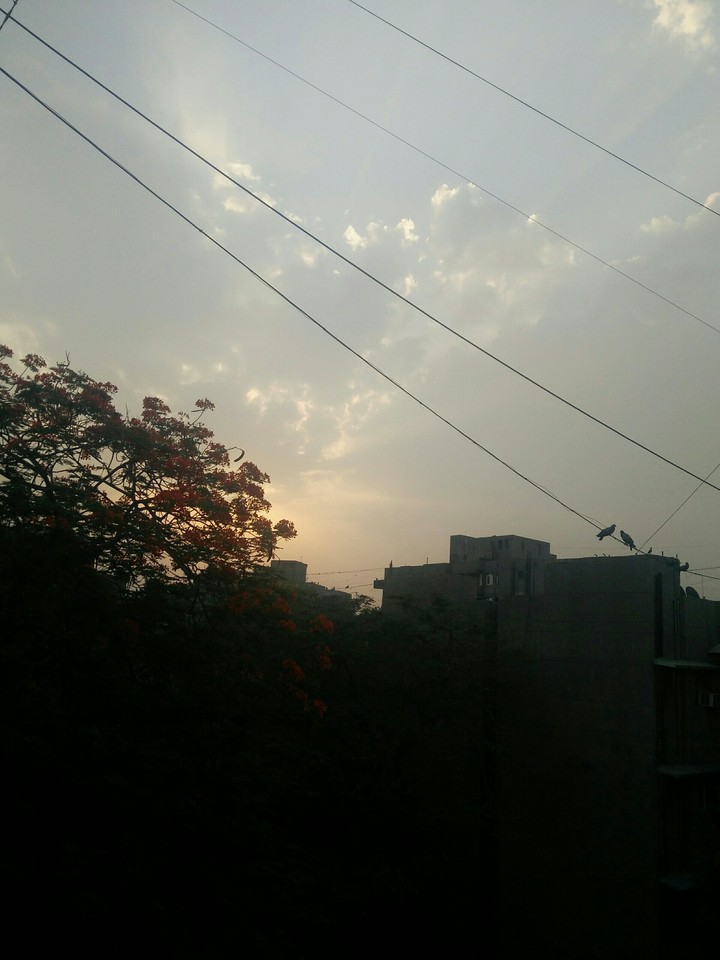 early morning with birds chirping..