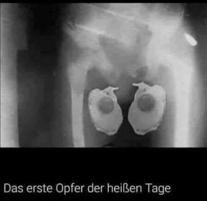 hihi