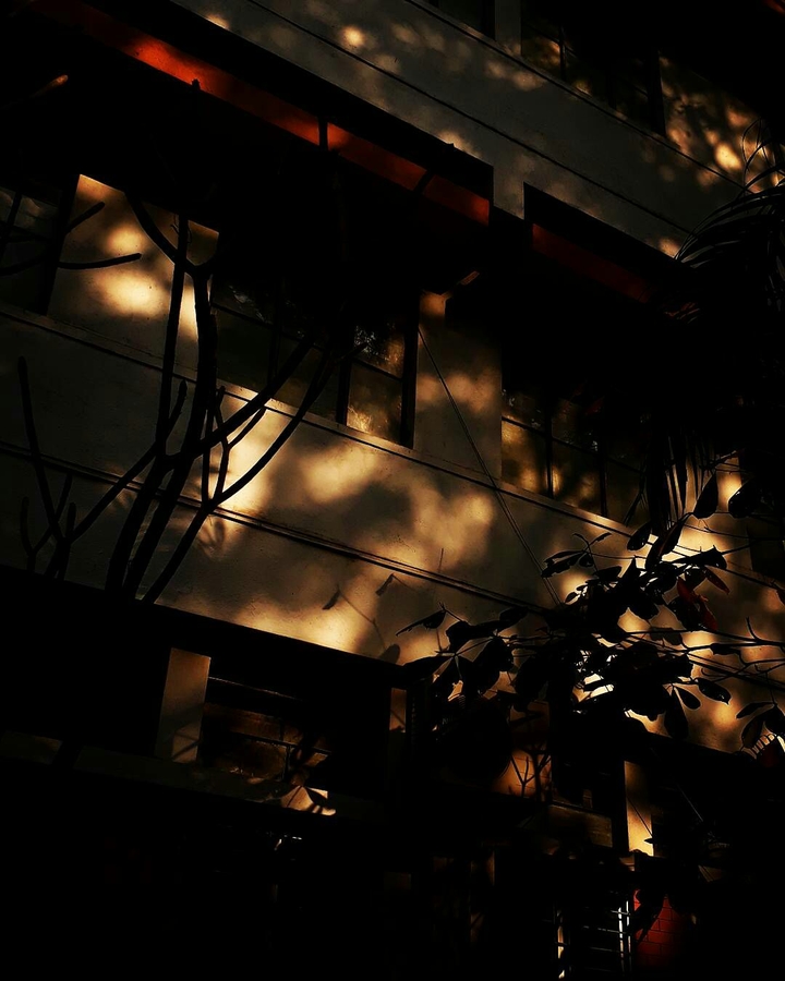 golden lights