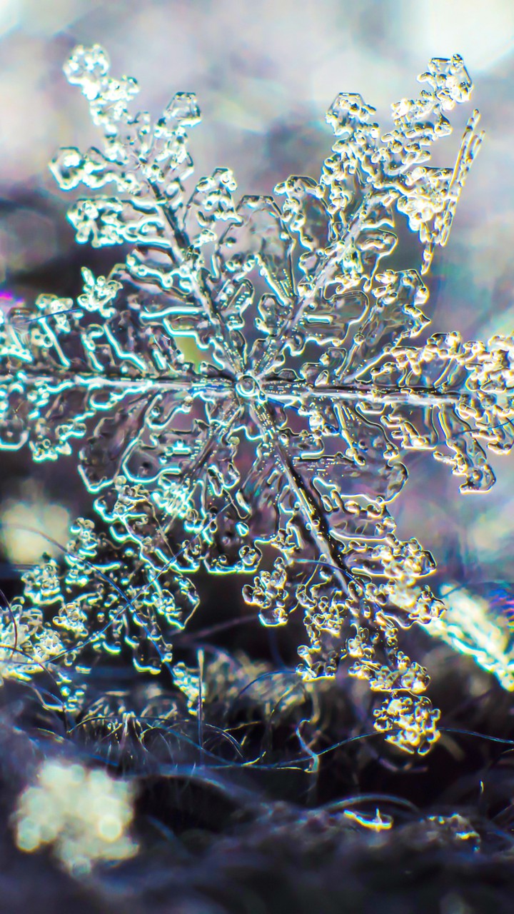 ~ CRYSTAL SNOWFLAKE ~
