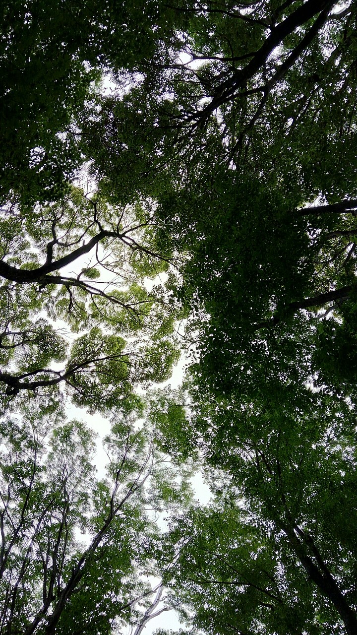 sky