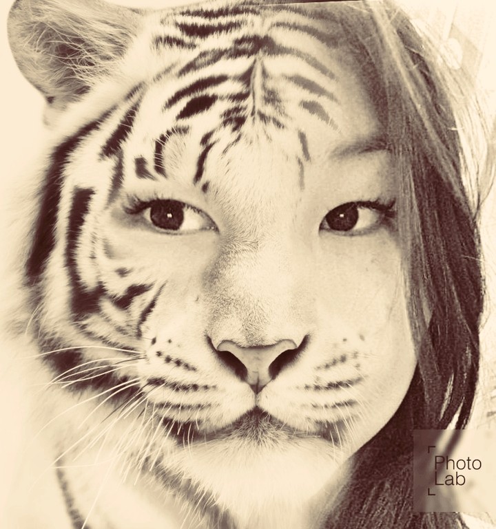 PhotoLab