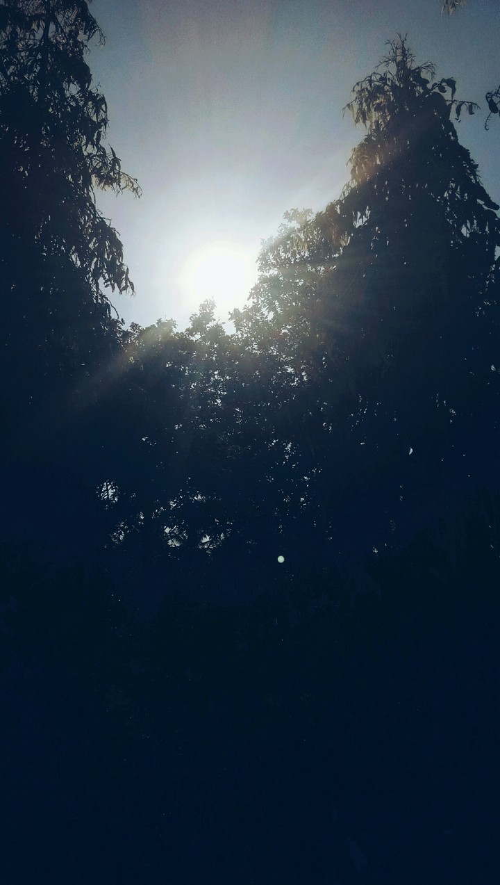 The Sun Is Shining Hard