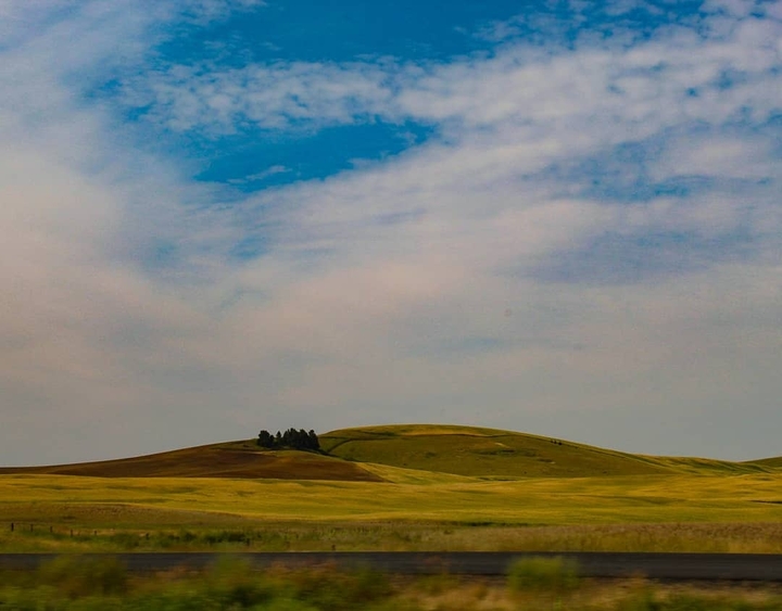 green valley