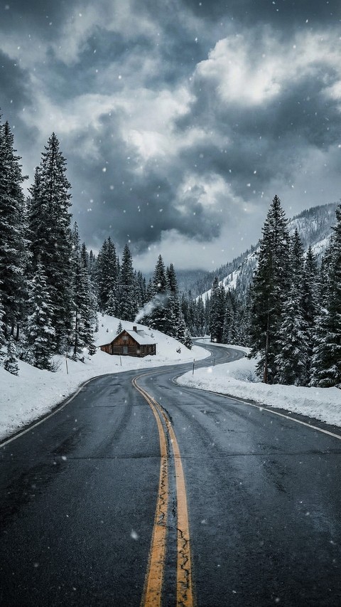 обои highway, larch