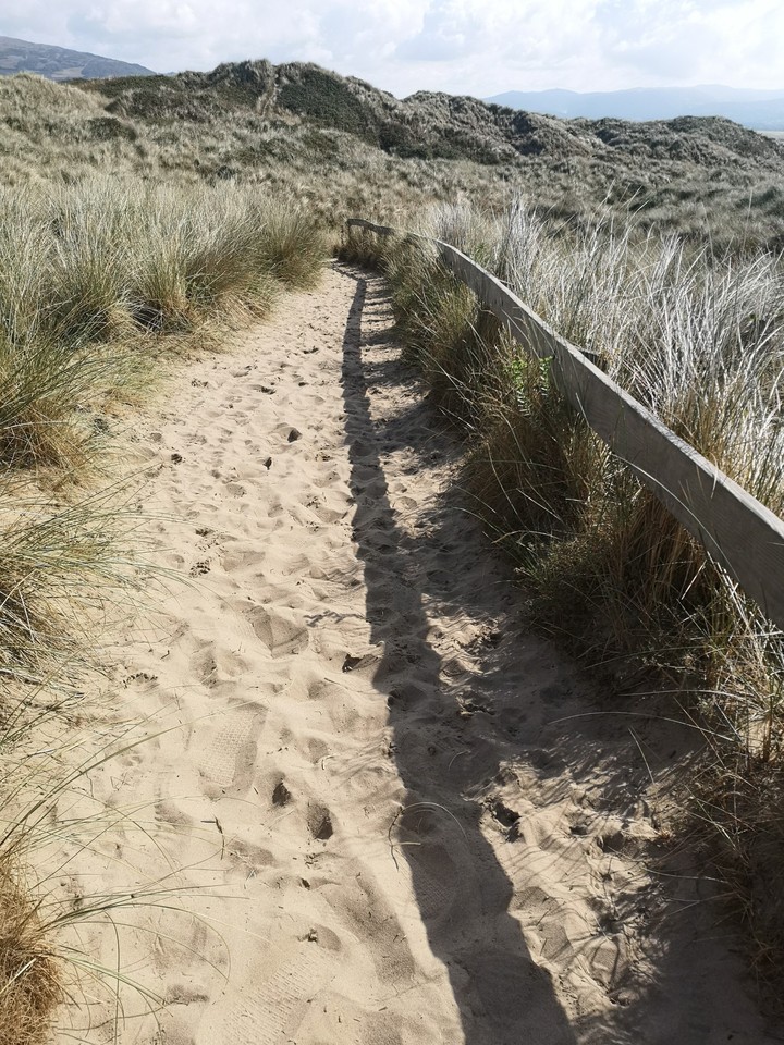 The Beach Walk