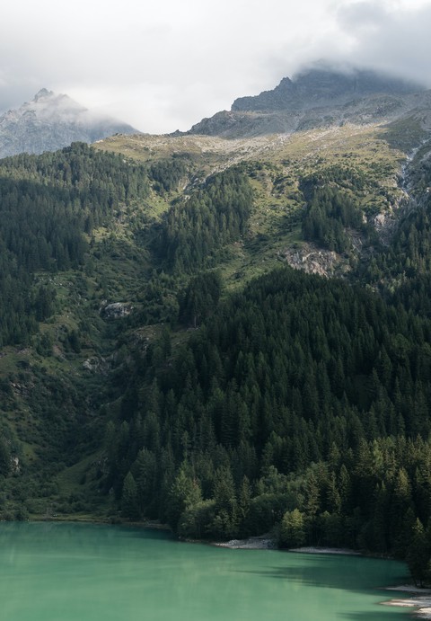 Landscape