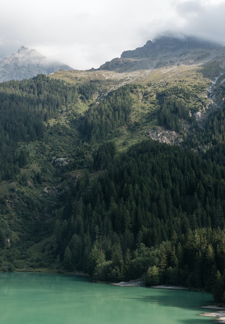 Landscape
