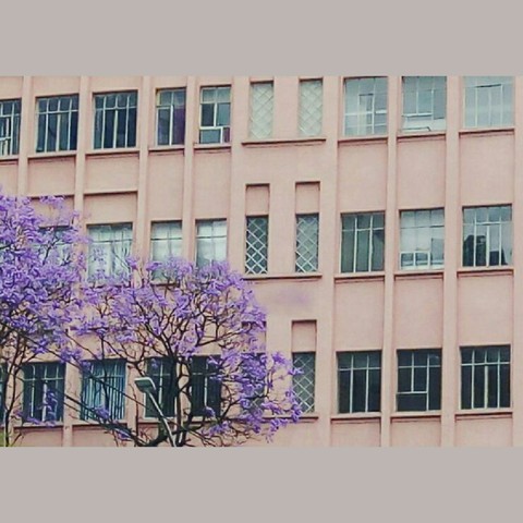 window, property duvar kağıtları