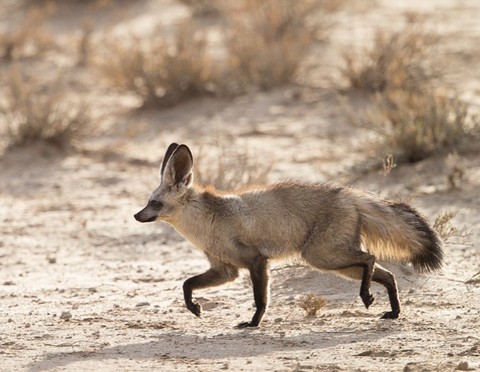 run