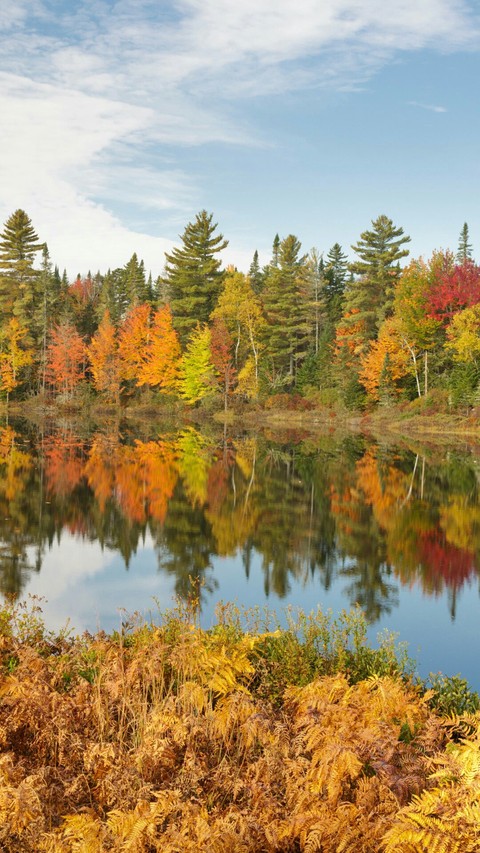 Reflections