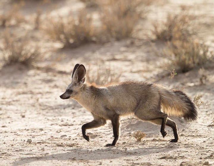 run