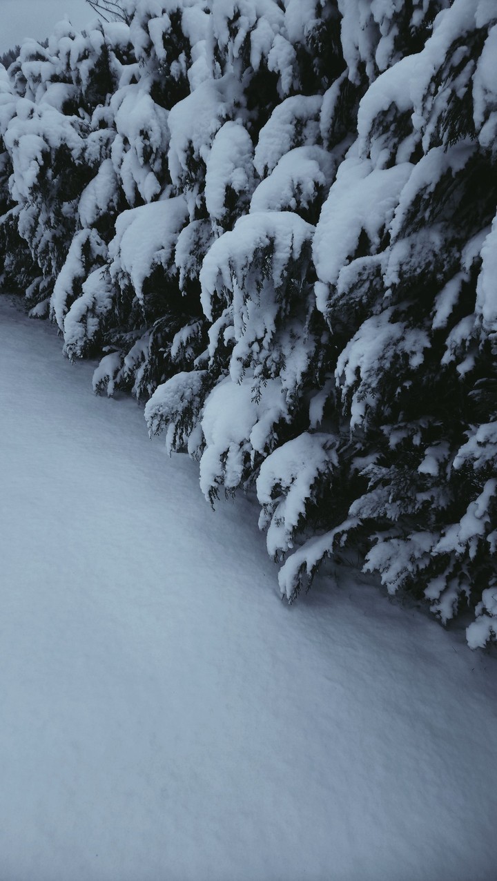 Winter Time