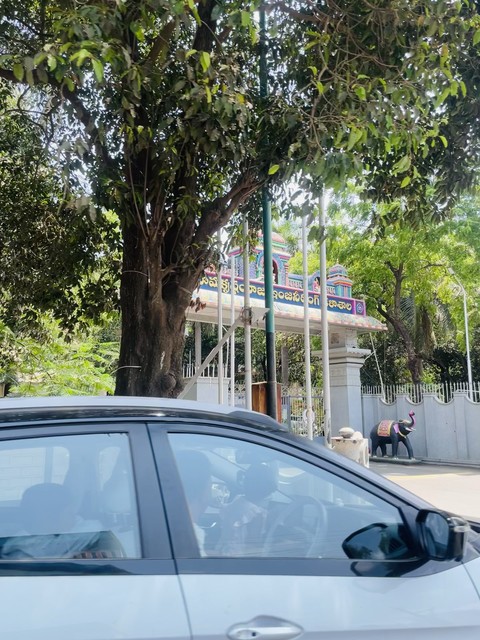 Parking, Shade壁紙