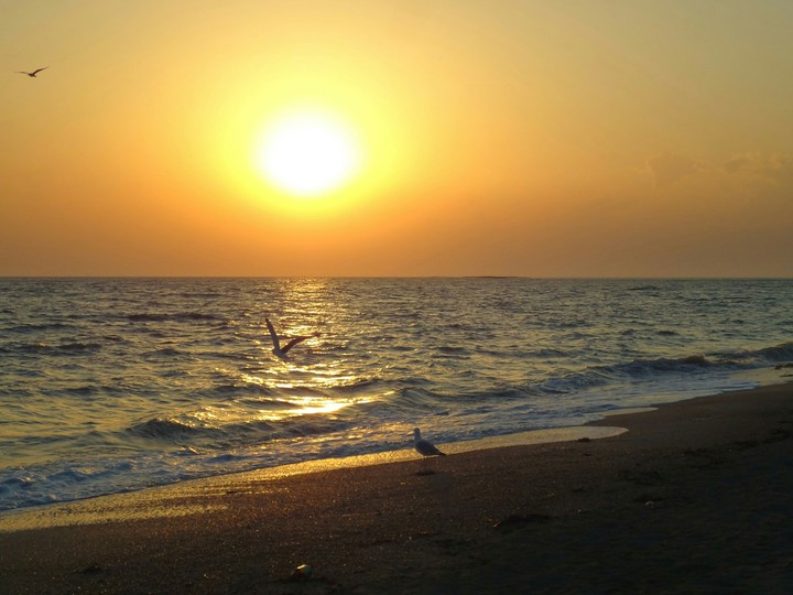 sea