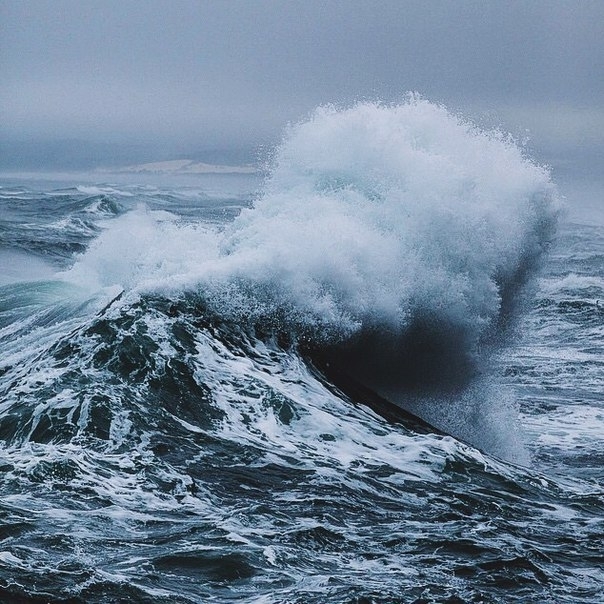 Wave 
