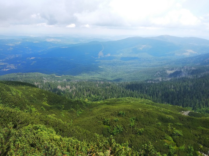 Landscape