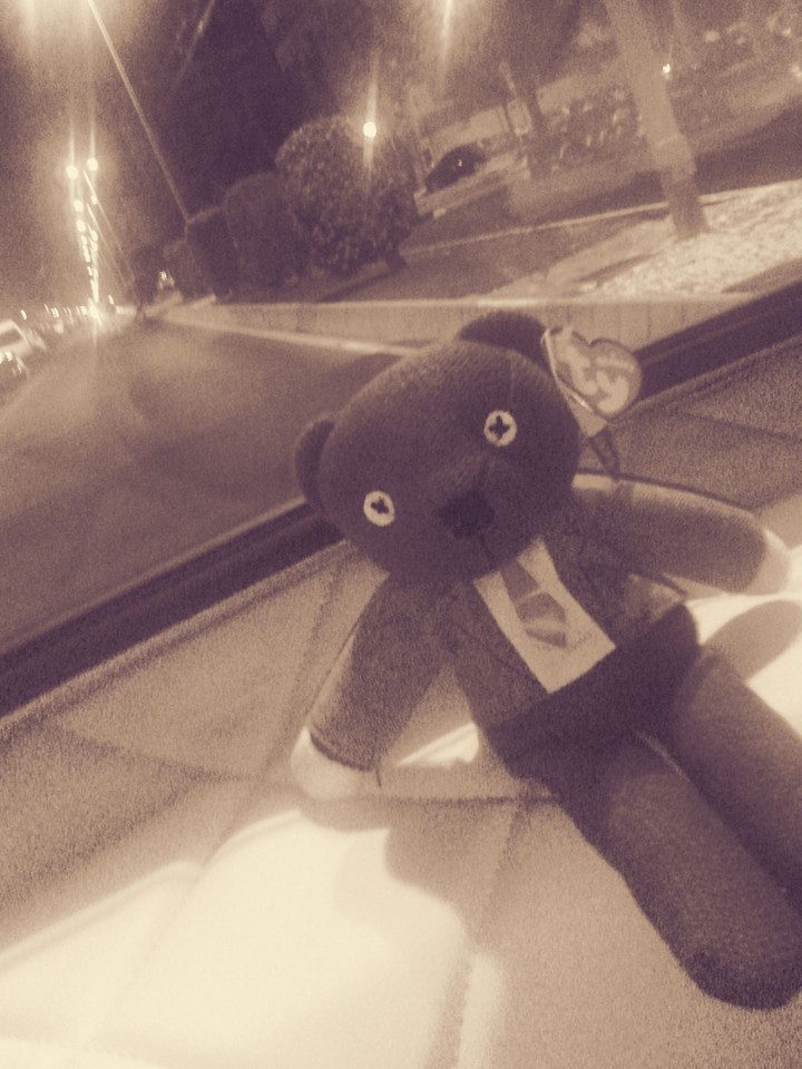 Oso Tedy