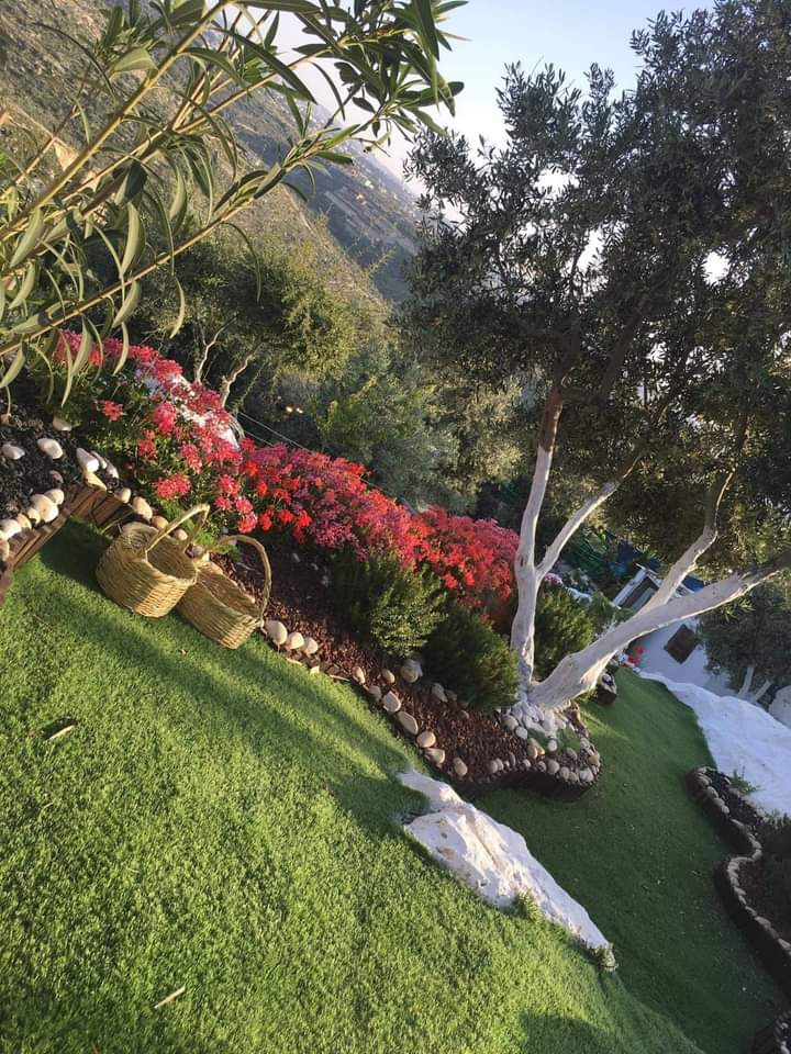 nature