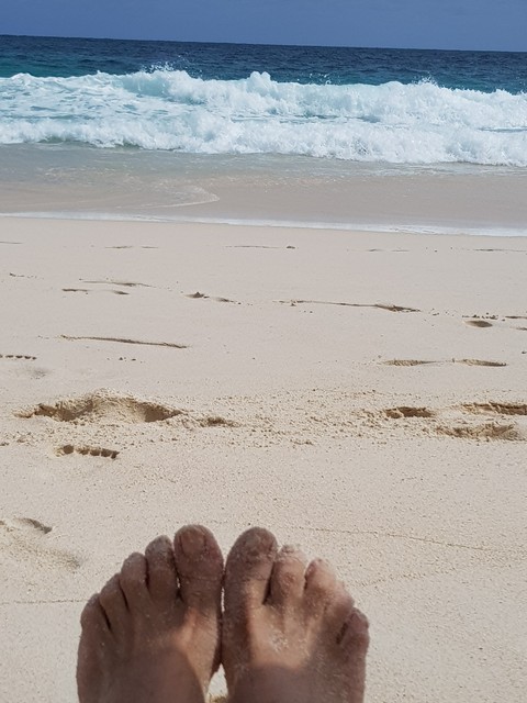 holidays..?