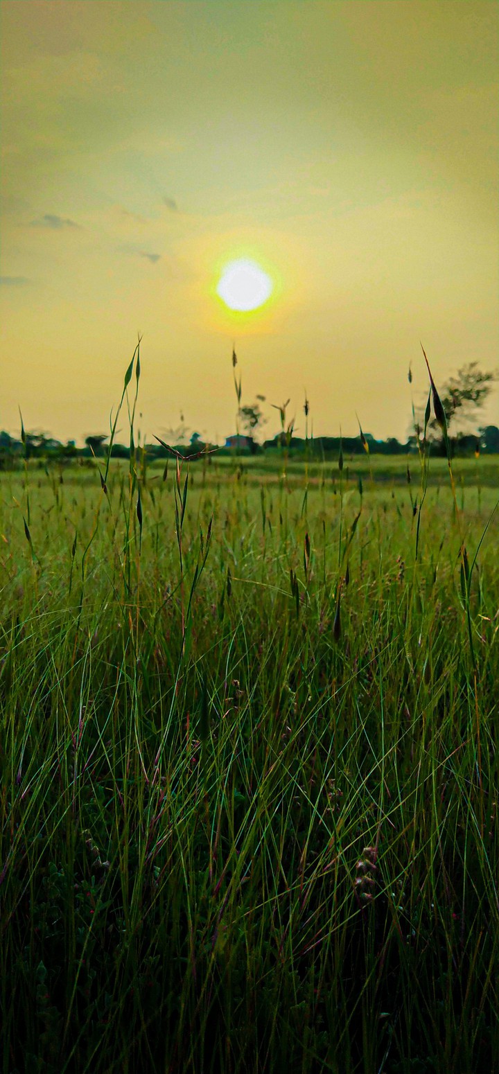 Nature