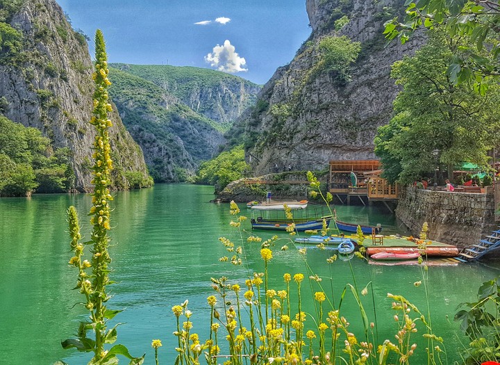 nature lover