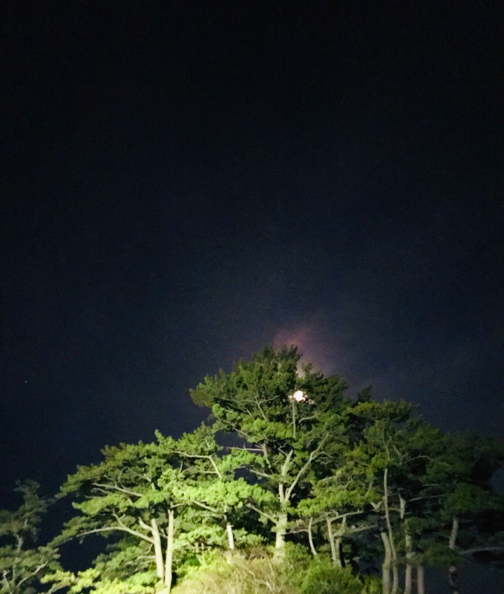 밤하늘