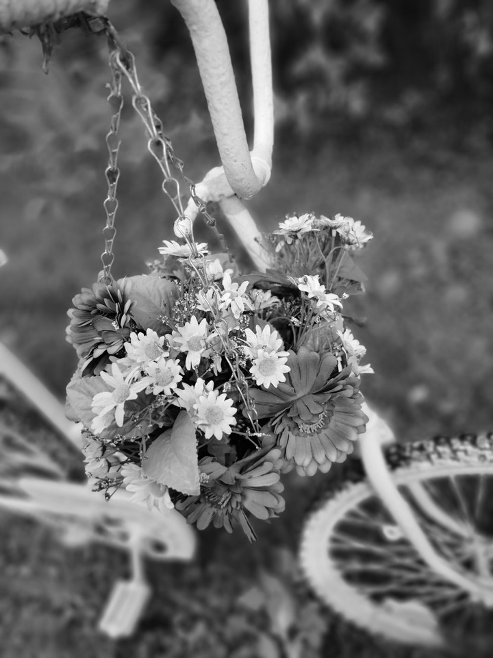 Flowers and bicycle