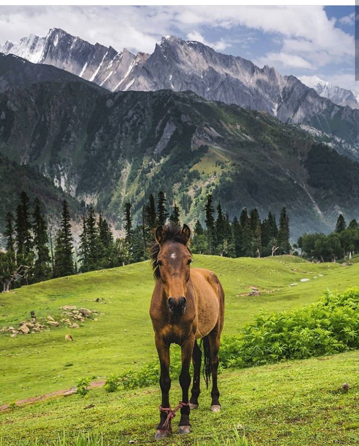 #kashmir# beauty#paradise#