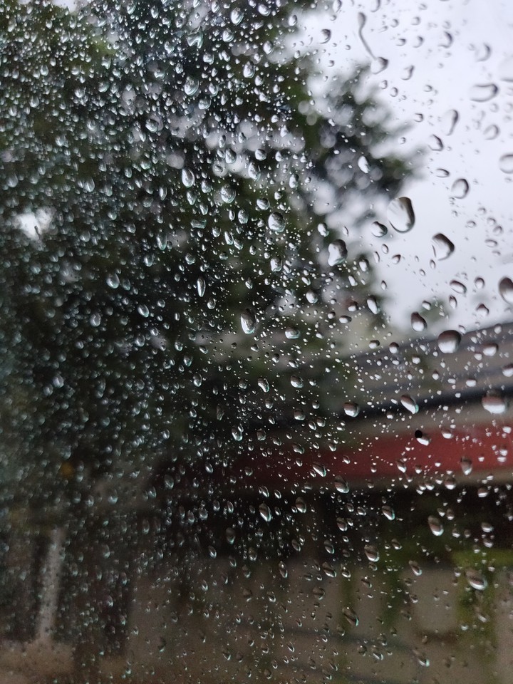 Rain