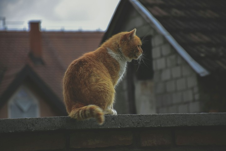 Nandžo at the watchtower