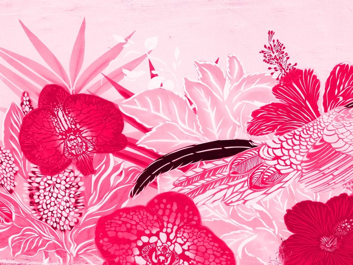 Pink wall art