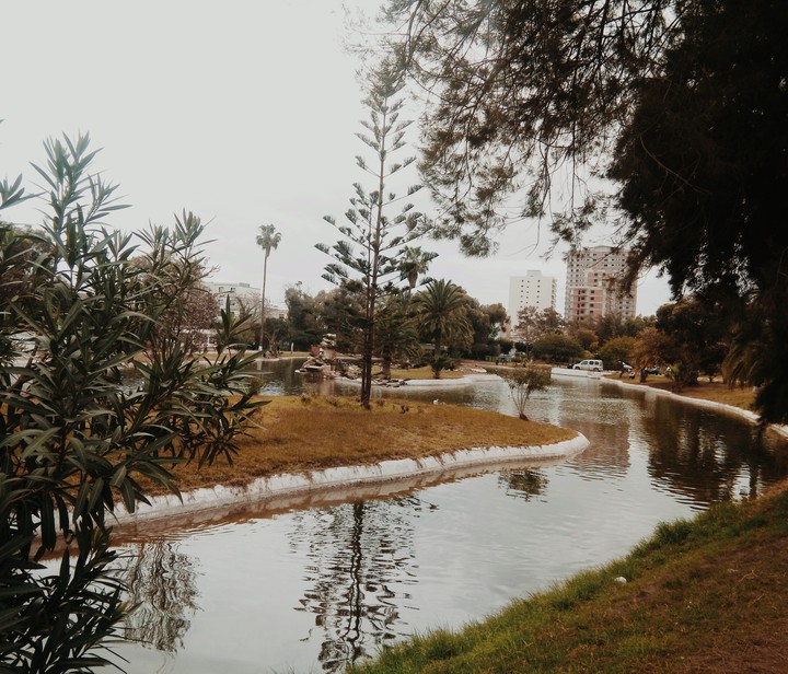 jardin