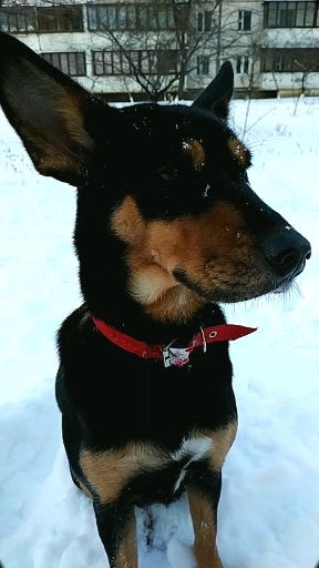 ❤️