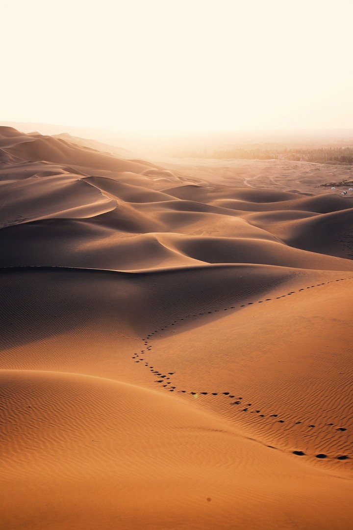 Abu Dhabi Desert