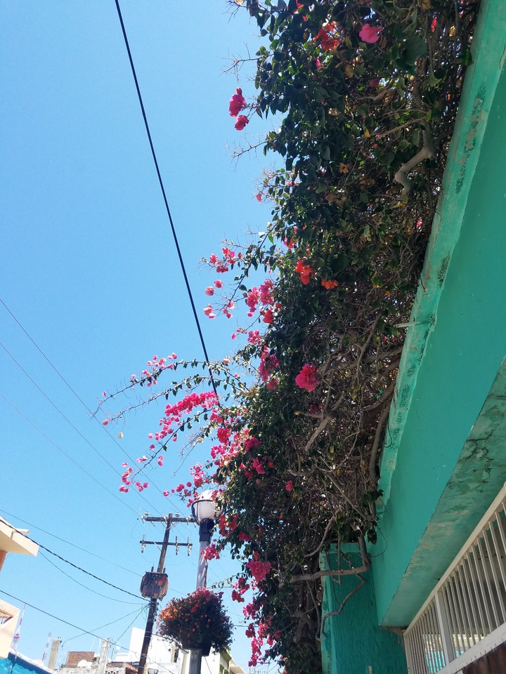 one summer day