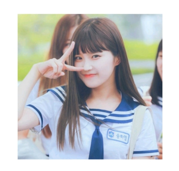 챼믕님 보정(출처)