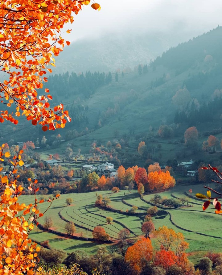 Rize