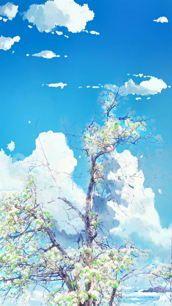 anime