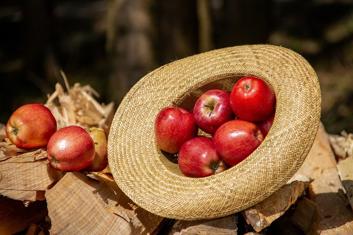 apples