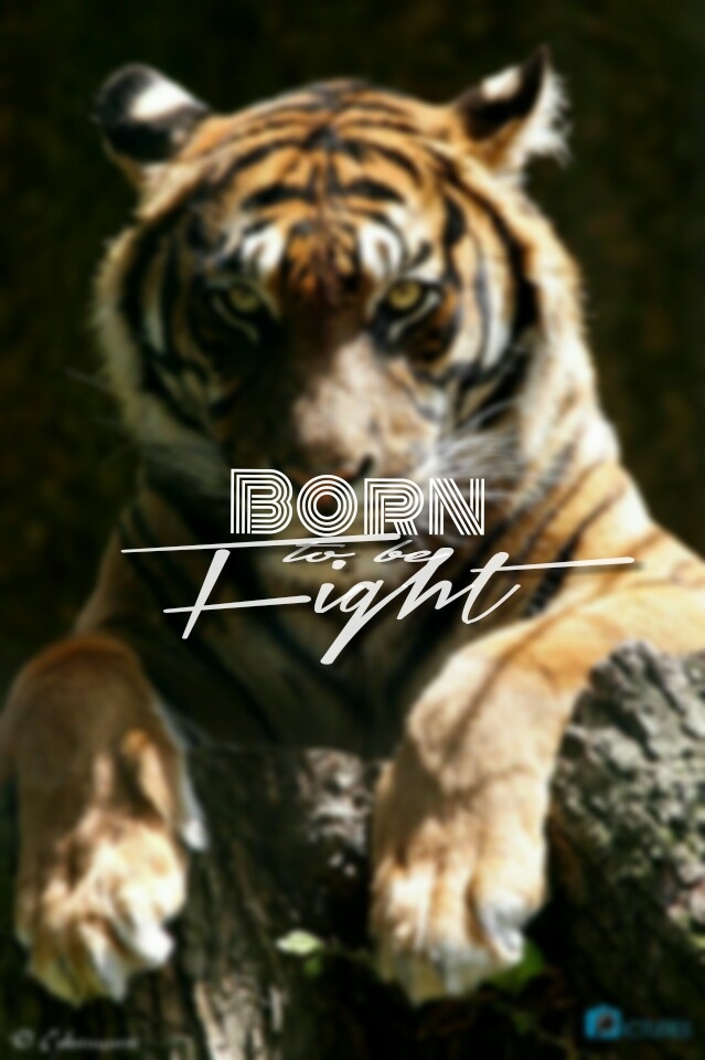 Born to be fight