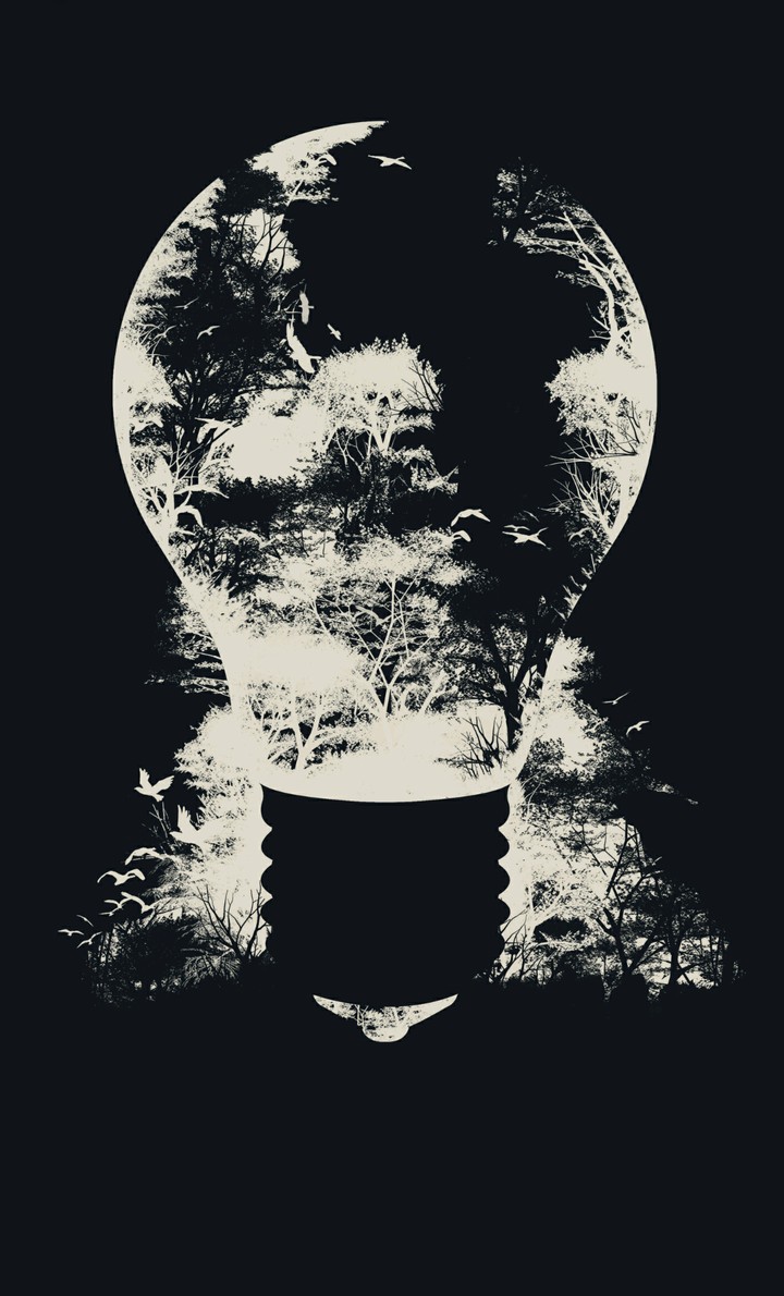 The Lightbulb