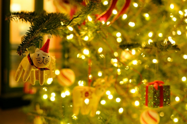 merry chistmas